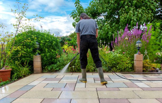 Best Pre-Holiday Cleaning  in Lumbine, CO
