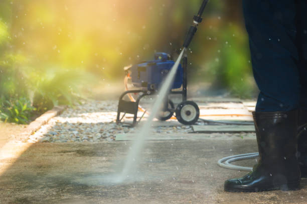 Animal Enclosure Cleaning in Columbine, CO